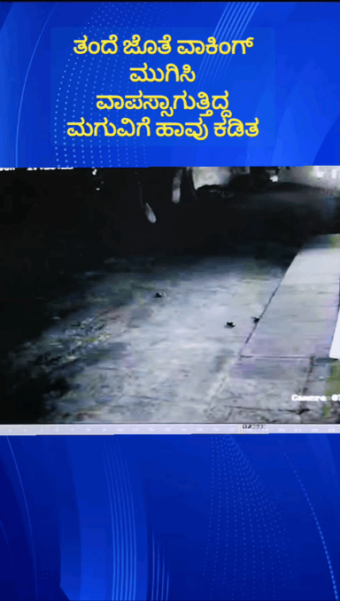 ನೆಲಮಂಗಲ: ಪಟ್ಟಣದ ನಂದರಾಮಯ್ಯನಪಾಳ್ಯದಲ್ಲಿ ತಂದೆ ಜೊತೆ ವಾಕಿಂಗ್ ಮುಗಿಸಿ ಬರುತ್ತಿದ್ದ ಮಗುವಿಗೆ ಹಾವು ಕಡಿತ ದೃಶ್ಯ ಸಿಸಿಟಿವಿಯಲ್ಲಿ ಸೆರೆ