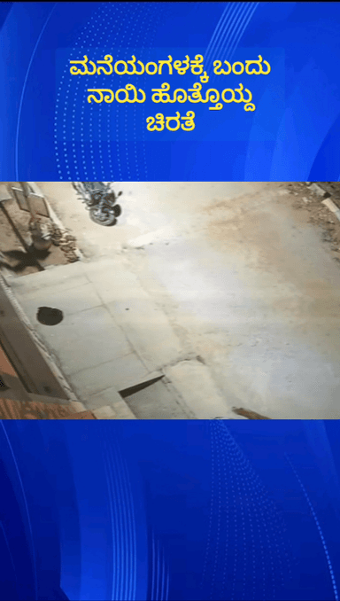 ನೆಲಮಂಗಲ: ಪಟ್ಟಣದ ಸೊಂಡೆಕೊಪ್ಪ ರಸ್ತೆಯಲ್ಲಿ ಮನೆಯಂಗಳಕ್ಕೆ ಬಂದು ನಾಯಿ ಹೊತ್ತಯ್ದ ಚಿರತೆ