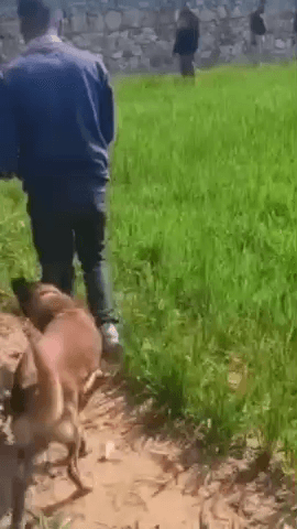 मौजमाबाद: गोविंदगढ़ के नेशनल हाईवे 52 स्थित पेट्रोल पंप के पास खेत में अज्ञात व्यक्ति का शव मिलने से आसपास के इलाके में फैली सनसनी