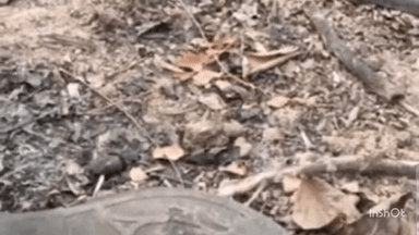 महासमुंद: कोडार डैम जली लाश कांड का खुलासा, 10 माह बाद आरोपी गिरफ्तार, गहनों के लालच में की थी महिला की हत्या, जेल दाखिल