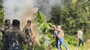 ପାରଳାଖେମୁଣ୍ଡି: ଆର. ଉଦୟଗିରି ଥାନା ଅନ୍ତର୍ଗତ ତଣ୍ଡ୍ରାଙ୍ଗ ଏବଂ କଟମା ଗ୍ରାମ ନିକଟସ୍ଥ ଜଙ୍ଗଲ ଜମିରେ ହୋଇଥିବା ବେଆଇନ ଗଞ୍ଜେଇ ଚାଷ ନଷ୍ଟ ସୂଚନା