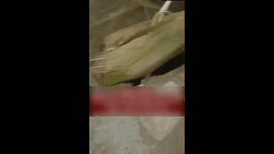 हवेली: काळेपणा परिसरात रस्त्यातील तुटलेल्या चेंबरमध्ये ज्येष्ठ नागरिक पडल्याची घटना घडली