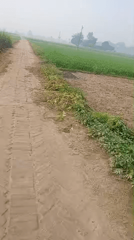 बदलापुर ग्राम पंचायत कमालपुर कुचौहां @