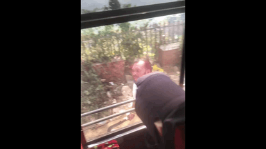 ദേവികുളം: മൂന്നാർ പള്ളിവാസൽ രണ്ടാം മൈലിൽ വിനോദ സഞ്ചാരികൾക്ക് നേരെ ആക്രമണം, ദൃശ്യം പുറത്ത്