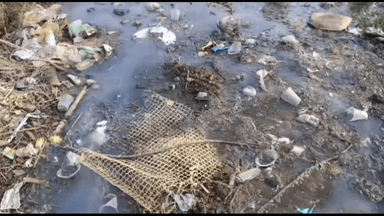 रूपवास: बहराबली गांव में स्कूल एवं नन्द घर में पानी भरने से विद्यार्थियों को हो रही है भारी परेशानी #jansamasya