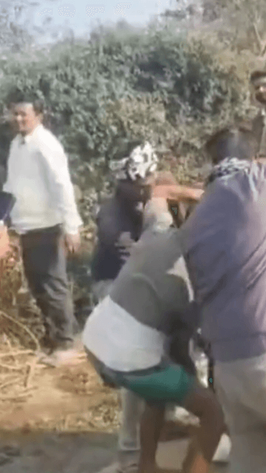 बांगरमऊ: बांगरमऊ के पखरापुर गांव में मिले 5 अजगर, वन विभाग की टीम ने तीन अजगर को पकड़ा और सुरक्षित जंगल में छोड़ा