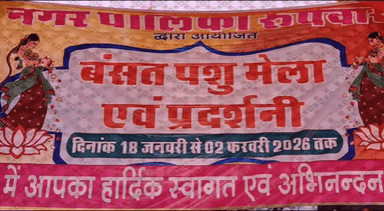 रूपवास: रूपवास के बसंत मेले में मेहंदी की रंगीन छटा में सजी बालिकाओं की प्रतिभा, अंजली बनीं प्रथम विजेता