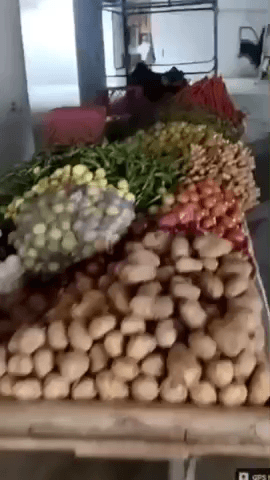 आमेर: नगर परिषद कोटपूतली द्वारा अतिक्रमण के खिलाफ की गई कार्रवाई