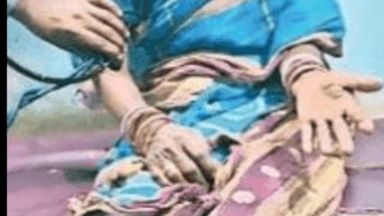 डुमरिया: डुमरिया में पागल कुत्ते का आतंक, 7 लोग घायल, इलाके में दहशत