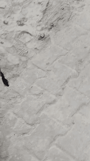 please help me कोई भी प्रशासन एक्शन नहीं ले रहा#छेदी का पुरवा पोस्ट राही रायबरेली #sp #CM #मिल एरिया #news #आज तक #