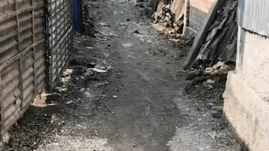 নকশালবাড়ি: ‘আমাদের পাড়া আমাদের সমাধান’ ক্যাম্পে আবেদন! জোড়া রাস্তার শিলান্যাস হল নকশালবাড়িতে