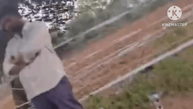 કઠલાલ: કઠલાલમાં જુગારધામનો વીડિયો સોશિયલ મીડિયામાં વાયરલ