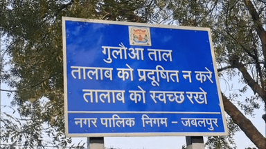 जबलपुर: गुलौआ तालाब में मरी मछलियाँ उतराने से फैली दुर्गंध, इलाके में स्वास्थ्य का खतरा!