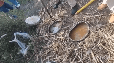 राघोगढ़: मुरादपुर गांव में धरनावदा पुलिस की अवैध शराब माफिया पर बड़ी कार्रवाई, ₹16,71,250 का मशरूका जब्त