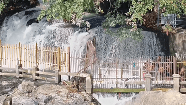 பென்னாகரம்: ஒகேனக்கல் காவிரி ஆற்றில் திடீர் நீர்வரத்து அதிகரிப்பு.