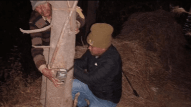 गरुड़: तैलीहाट क्षेत्र में गुलदार के आतंक के बाद वन विभाग की टीम ने गांव में ट्रैप कैमरे लगाए, सुरक्षित रहने की अपील की