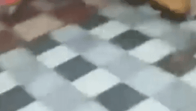 पेण: पेणच्या वाशी नाक्यावर सिलेंडरने भरलेल्या टाटा मॅजिकला आग; एकामागोमाग आठ सिलेंडरचा स्फोट