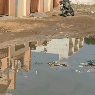 લોધીકા: મેટોડા નજીકની ચંદ્ર પાર્ક સોસાયટીના રહેવાસીઓ ગદકીને લઈને પરેશાન તાકીદે સમસ્યાનો નિકાલ લાવવા માગણી