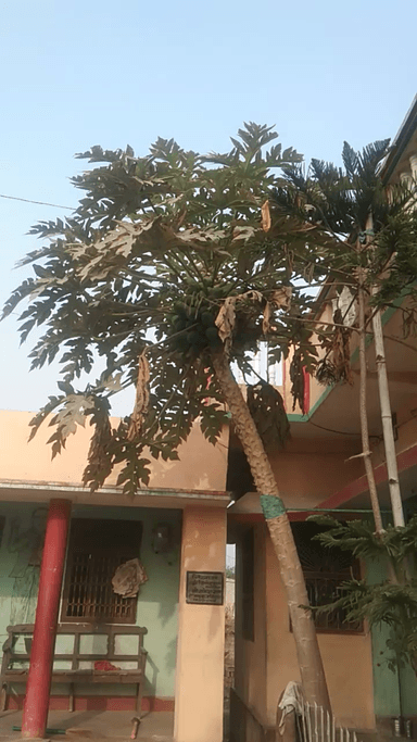 जाताज्जेकान jjjjjjjjll bbbbbbbbbbbbbbbllll