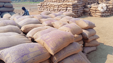 पामगढ़: मेऊ गांव में अवैध धान पर की गई कार्रवाई, 201 बोरी अवैध धान किया गया जब्त