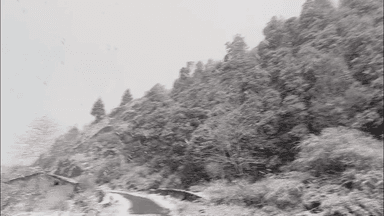 कपकोट: बदियाकोट में पहली बर्फबारी के बाद माहौल खुशनुमा, किसानों में खुशी का माहौल, पूर्व विधायक भी रहे मौजूद