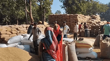 पेण्ड्रा: जीपीएम ज़िले में अब तक 12,668 किसानों ने 1983 हेक्टेयर रकबा समर्पण किया