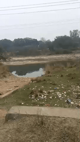 अभिनव सिंह द्वारा सेमरावल नदी कानिरीक्षण करते हुए किसान भाइयों को पर्याप्त मात्रा में पानी मिल रहा है कि नहीं मिल रहा है