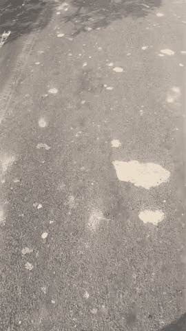 Madhubani jila
Bihar
@@@