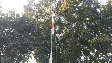 प्रखंड कार्यालय अन्तर्गत सभी सरकारी संस्थाओं के साथ ढोढ नाथ हाई स्कूल में शान से फहराया गया तिरंगा