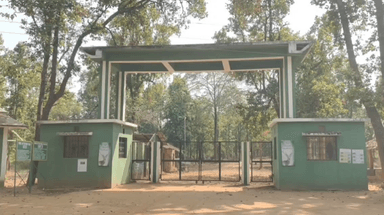 मानपुर: बाँधवगढ़ टाइगर रिजर्व में बारहसिंगाओं की संख्या 48 से बढ़कर 62 हुई, 14 नए शावक शामिल