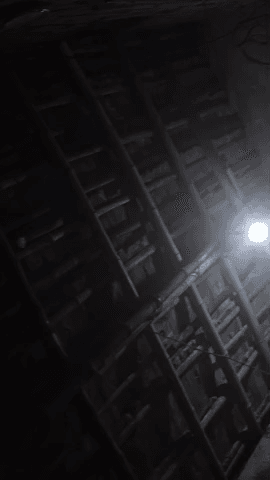 video good jijijijijijijijijiji