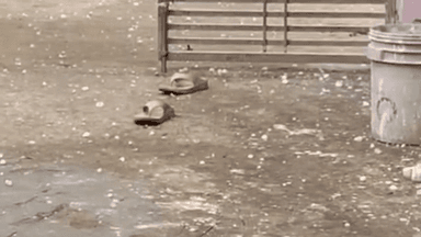 नैनवां: बूंदी जिले में तेज बारिश और ओलावृष्टि का दौर जारी, जनजीवन बुरी तरह प्रभावित