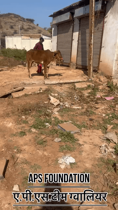 इस गाये के पैर में बहुत ज्यादा कीड़े ओर बुखार बहुत है..!
Respect Girls help poor help animals
#apsgurjar #viral #support #gwalior