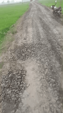 nirmali Panchayat to Srinagar ki road hai aap log dekhiae sadak ki sthiti kya hai aur is page per