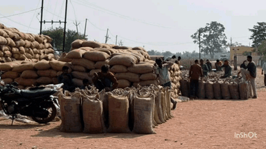 बसना: धान खरीदी के अंतिम चरण में सुचारू व्यवस्था, जिले में अब तक 9 लाख 822 मीट्रिक टन धान की खरीदी हो चुकी है