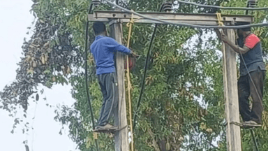 गोमिया: गोमिया BDO रोड पर बड़ा हादसा टला, हाई टेंशन केबल पर गिरी पेड़ की टहनी, ट्रांसफार्मर और डीपी क्षतिग्रस्त