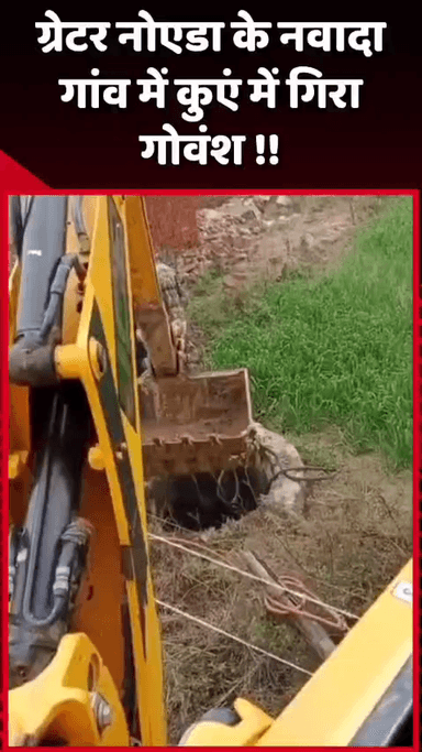 जेवर: ग्रेटर नोएडा के नवादा गांव में गोवंश कुएं में गिरा