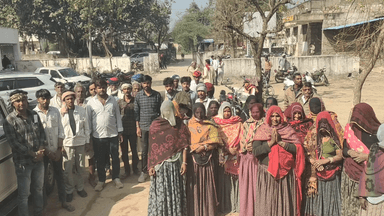 कोटड़ी: आकोला पंचायत के चारागाह भूमि से अवैध पेड़ कटान, ग्राम पंचायत ने कार्रवाई की मांग की