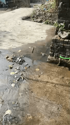 बड़वाहा मे नल मे नाली का पानी आरा है कस्तूरबा मार्ग होली तेखड़ा बाट क्रमांग 5 मे