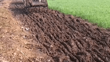 यावल: दहिगाव शेत शिवारात तहसीलदारांनी मोकळ्या करून दिलेल्या रस्त्यावरून जाताना शेतकऱ्याला शिवीगाळ,यावल पोलीसात तक्रार