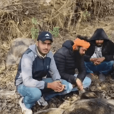 राजगढ़: श्री चंद्रपुर झाख जोहड़ी में गो तस्कर ने चलती पिकअप गाड़ी से गोवंश को पटककर भागे