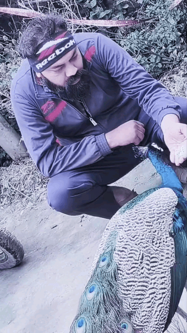 जय श्री कृष्ण
जय श्री परशुराम