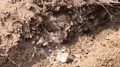 धामणगाव रेल्वे: मातंग समाजाच्या स्मशानभूमीमध्ये बॉडीची विटंबना ; क्रांतिकारी शेतकरी संघटना चे जिल्हाध्यक्ष कपिल पडघान