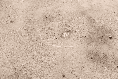 सिविल लाइन्स: दिल्ली में मुठभेड़ के बाद पुलिस ने बदमाश को पकड़ा