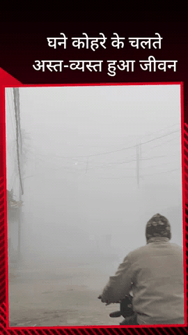 सरधना: घने कोहरे की चादर में लिपटा नगर और आसपास का क्षेत्र, कोहरे के चलते पसरा सन्नाटा, दिन में लाइट जलाकर गुजरे वाहन चालक