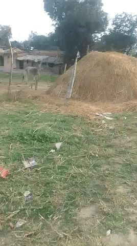 अंजोरा पंचायत दरसैना टोल