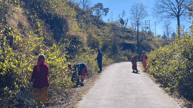 चम्पावत: डीएम चंपावत के निर्देश पर लोक निर्माण विभाग ने डुमडाई में सड़क पर आए मलबे और पेड़ू मार्ग पर जमा गंदगी को साफ किया