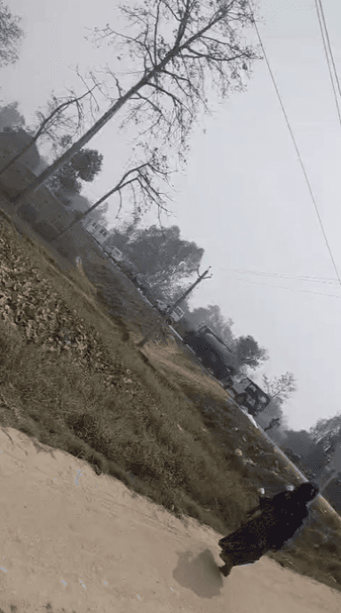 परिहार: बेला थाना और एसएसबी की बड़ी कार्रवाई, नेपाल से लाए गए 135 मवेशी जब्त, दो नाबालिग तस्कर गिरफ्तार