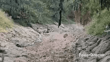 उमरेठ: कुलबेहरा नदी में अवैध रेत उत्खनन रोकने हेतु तहसीलदार ने बनाई टीम, नदी बचाने का प्रयास