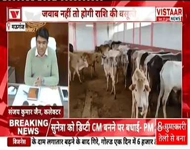 मऊगंज में गौशालाओं की स्थिति और राशि आहरण पर कलेक्टर सख्त, 24 गौशालाओं को कारण बताओ नोटिस